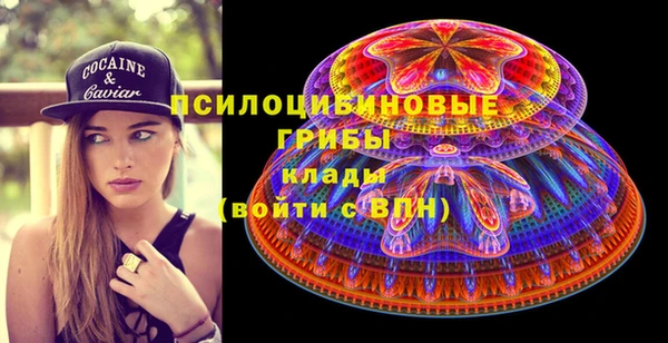 спиды Лиски