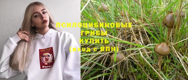 гидропоника Липки