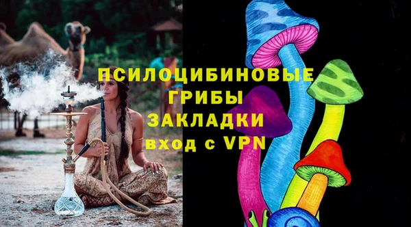 спиды Лиски
