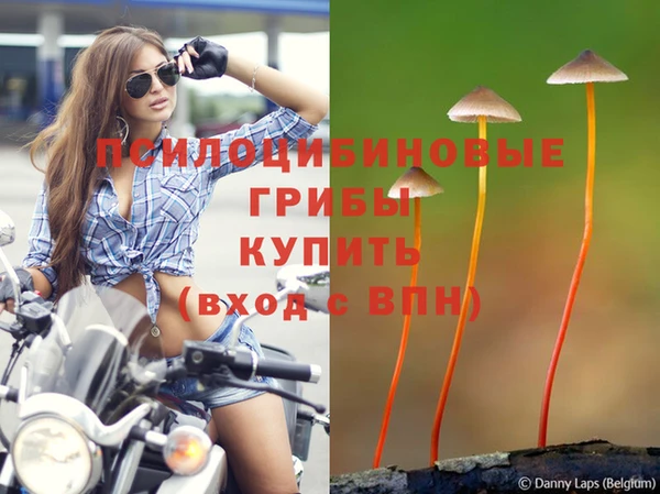 спиды Лиски