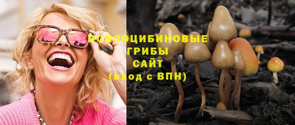 гидропоника Липки