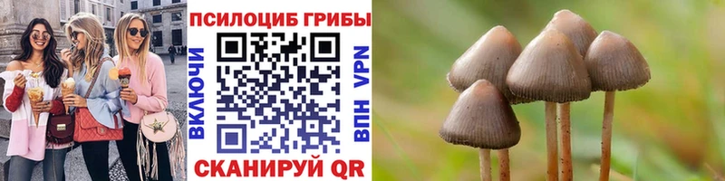 купить закладку  ОМГ ОМГ   Галлюциногенные грибы мицелий  Юрюзань 
