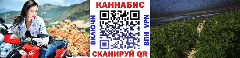 магазин    Юрюзань  МАРИХУАНА план 